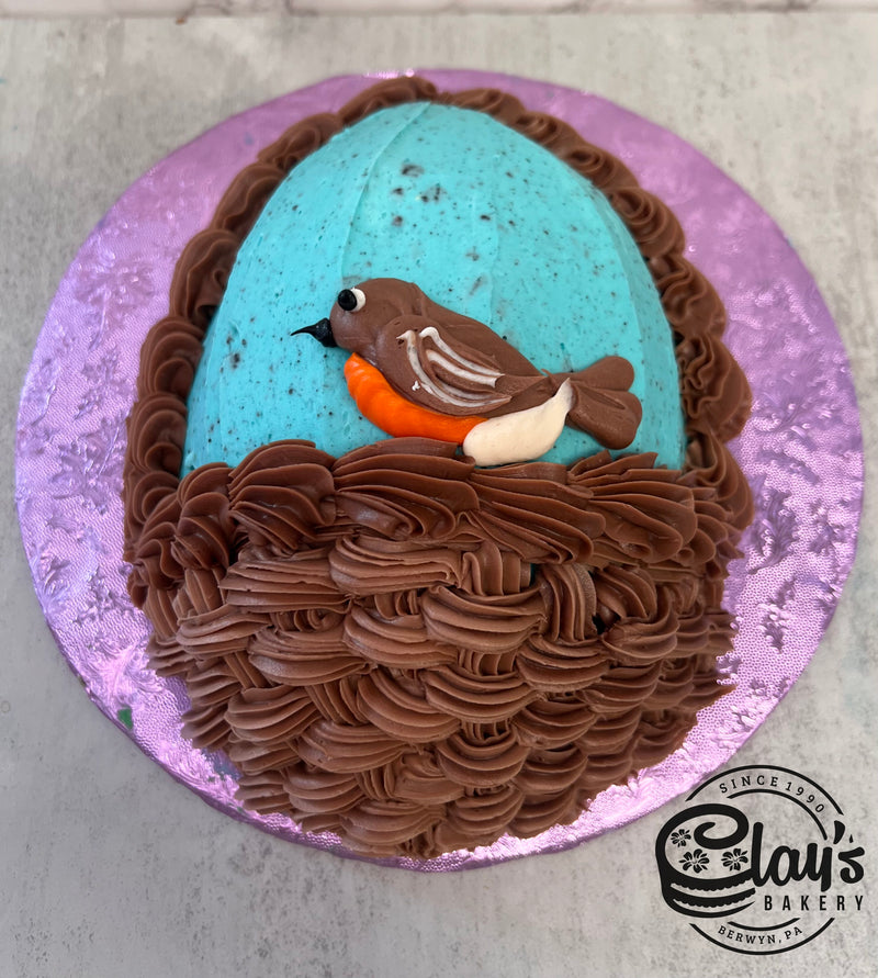 Robins Egg Shaped Cake