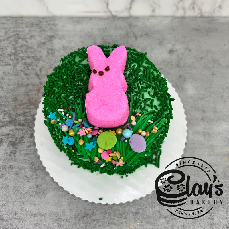 4" Lunchbox Bento Cake (Easter)