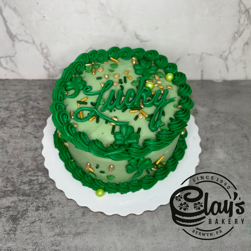 4" Lunchbox Bento Cake (St. Patty&