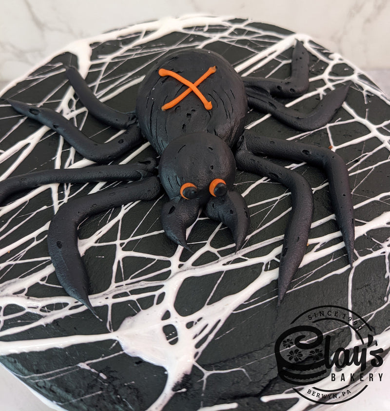 Spider Webbed