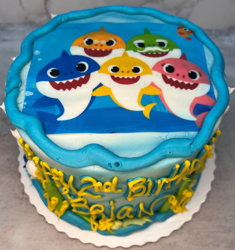 Family Shark
