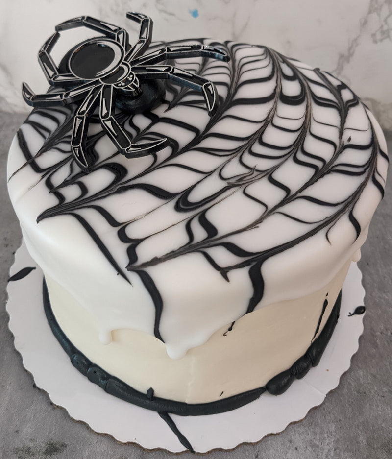 Dipped Spider Web