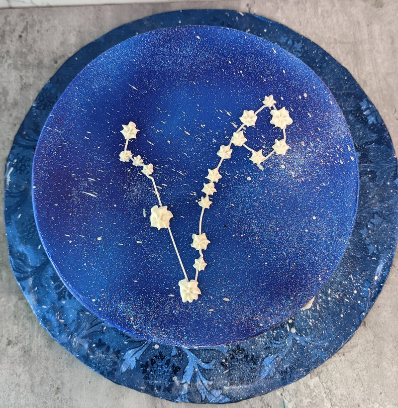 Zodiac Constellation