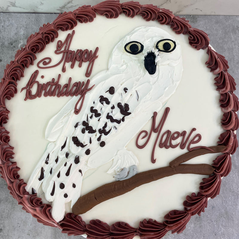 Magical School Owl