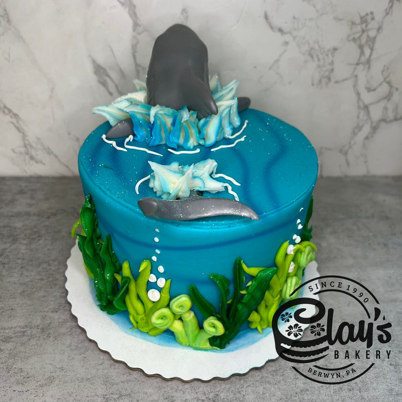 SHARK!