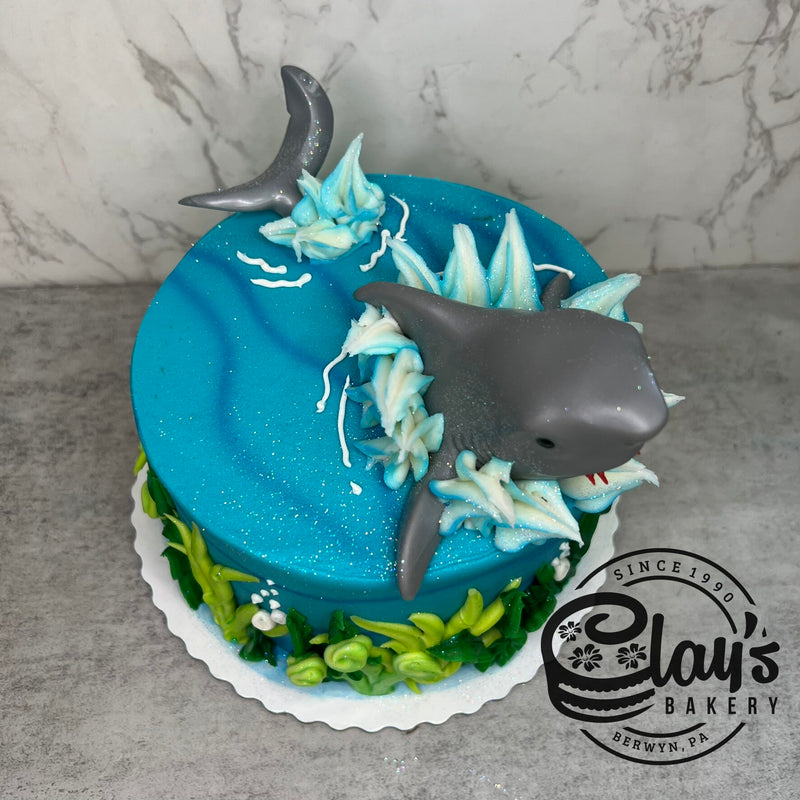 SHARK!